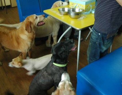 1380943708-2143342006