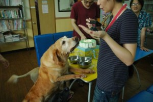 1380943708-2203036629