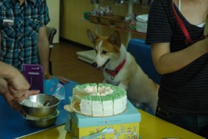 1380943708-3486499944