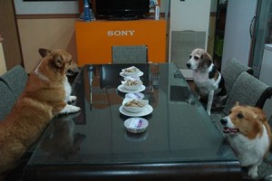 1380943712-1057628118