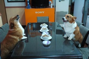 1380943712-4232638098