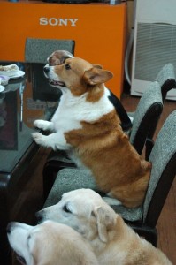 1380943713-1029735351