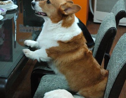 1380943713-1029735351