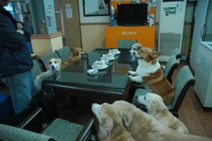 1380943713-2093788372