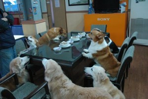 1380943713-986460138