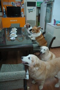 1380943714-1217515854