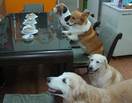 1380943714-1217515854