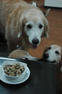 1380943714-1957963500