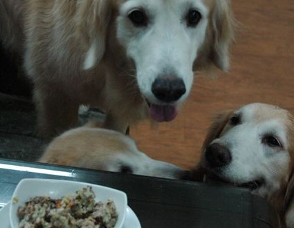 1380943714-1957963500