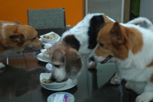 1380943715-4205801792