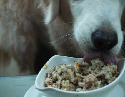 1380943716-2363658508