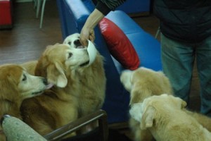 1380943716-4045983912