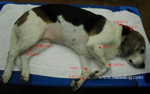 1380943717-2236825738