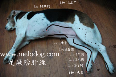 1380943727-2489379068