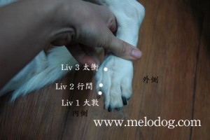 1380943728-2591495356