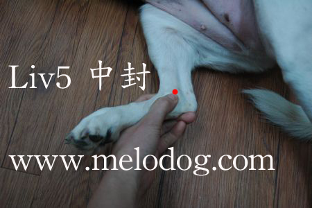 1380943728-3194122711