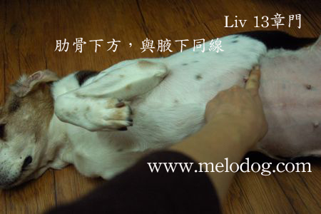 1380943729-2203537644