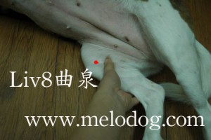 1380943729-266777055