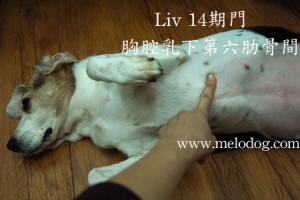 1380943731-906577966