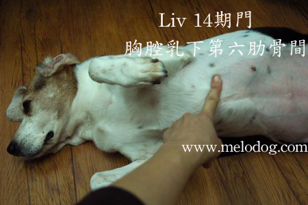 1380943731-906577966