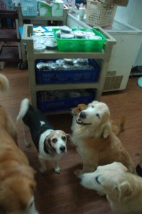 1380943740-3123808726