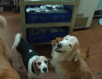 1380943740-3123808726