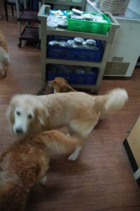 1380943740-476742272