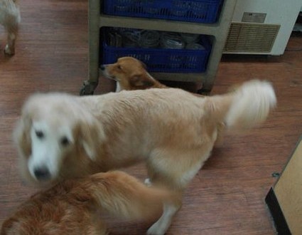 1380943740-476742272