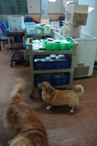 1380943740-784419233