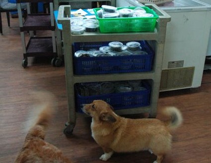 1380943740-784419233