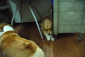 1380943741-4206172895