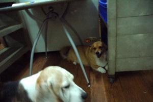 1380943742-166449159