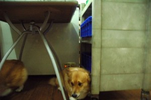 1380943742-1746131814