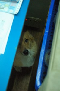 1380943743-120623295