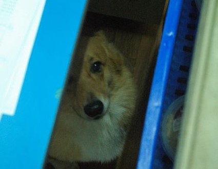 1380943743-120623295