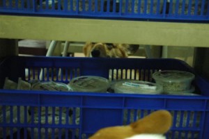 1380943743-410716858