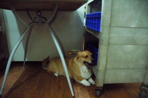 1380943744-1104792629