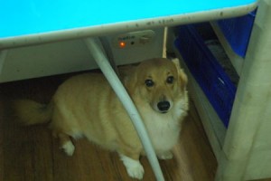 1380943744-2214800553