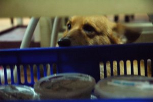 1380943744-2908242815