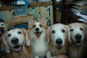 1380943745-2802073615