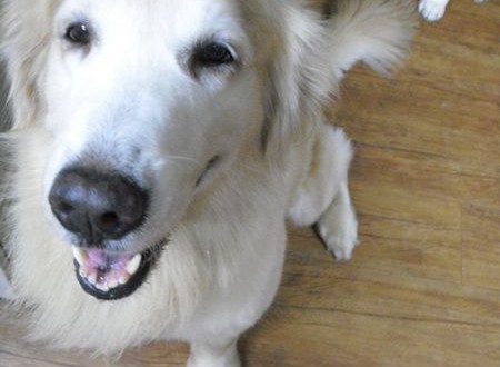 1380943753-3686528644