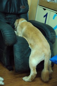 1380943754-1792901908