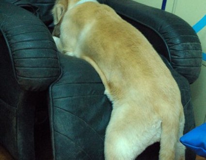 1380943754-1792901908