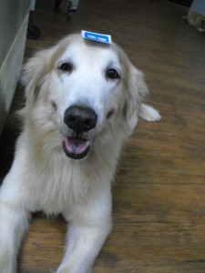 1380943754-2712693088