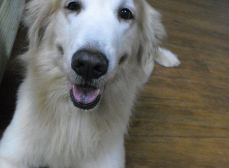 1380943754-2712693088