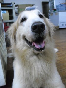 1380943755-2923505194