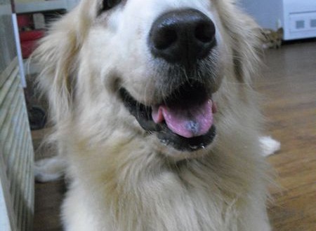 1380943755-2923505194