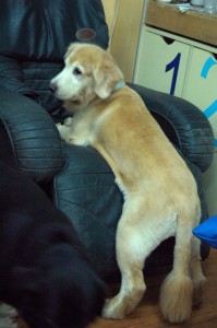 1380943755-340605220