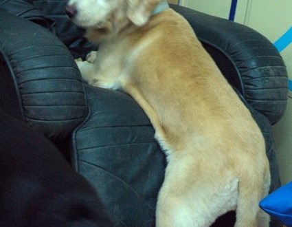 1380943755-340605220