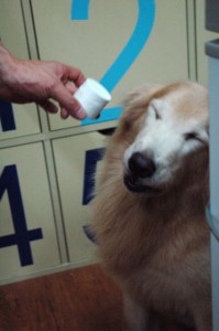 1380943756-1589758186